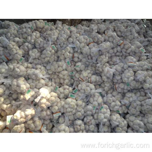 2019 Fresh Garlic Normal White Garlic